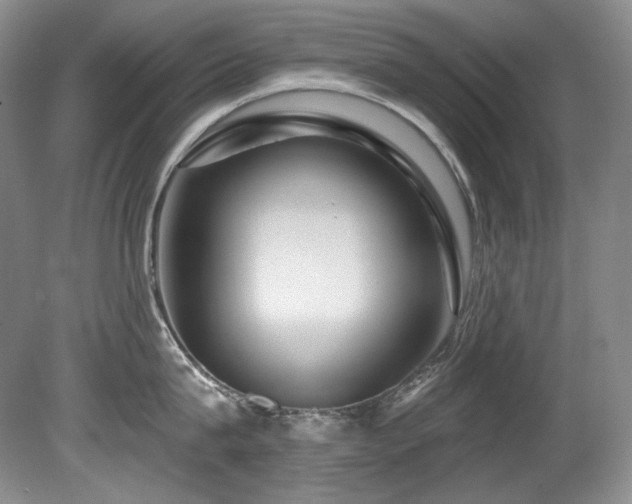 X0000080790815200612151453