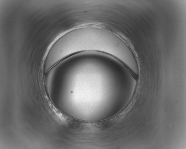 X0000080790816200612151453