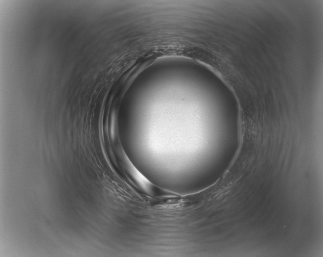 X0000080790818200612151452