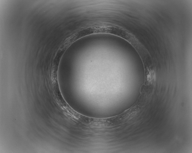 X0000080790819200612151452
