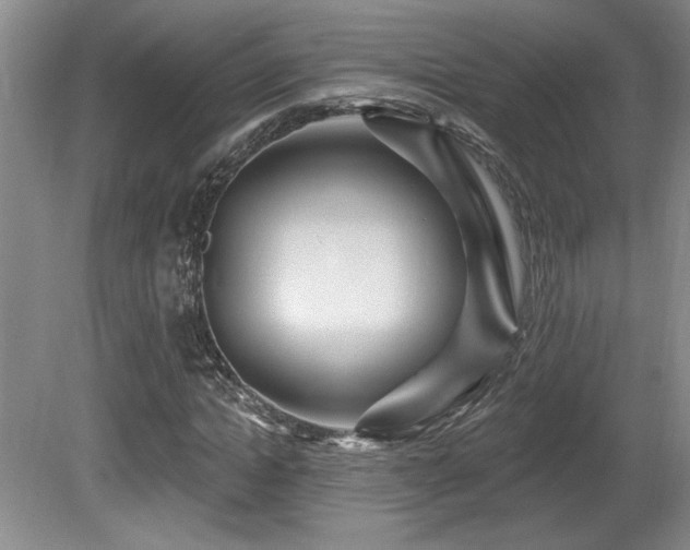 X0000080790822200612151452