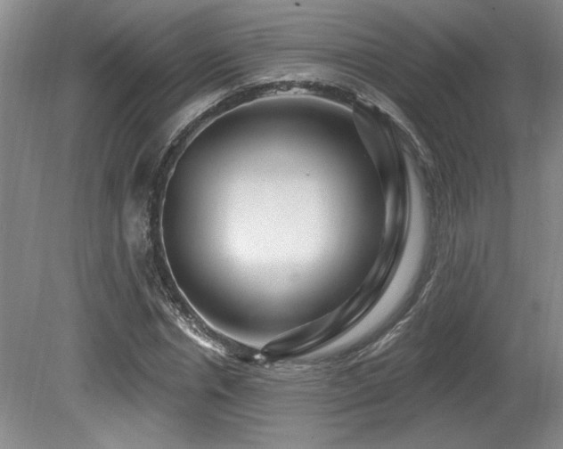 X0000080790826200612151452