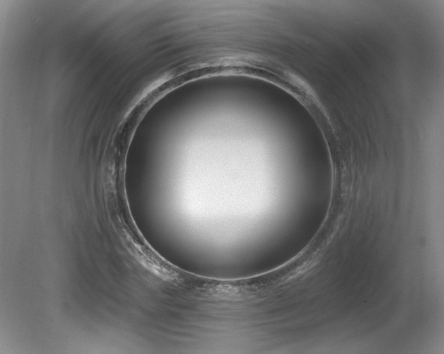 X0000080790827200612151452