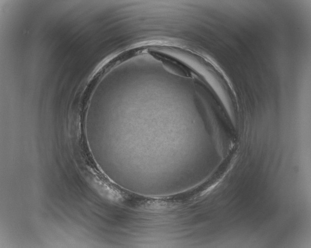 X0000080790829200612151452