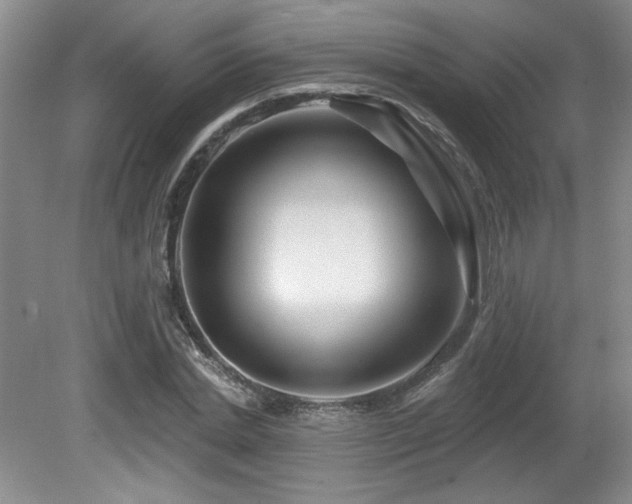 X0000080790830200612151452