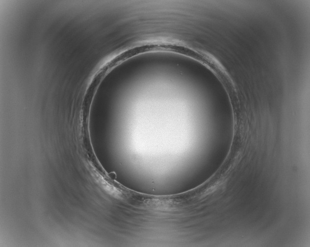 X0000080790831200612151452