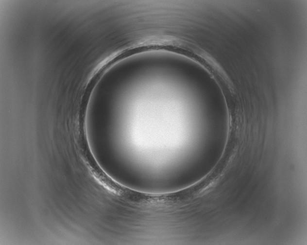 X0000080790834200612151452