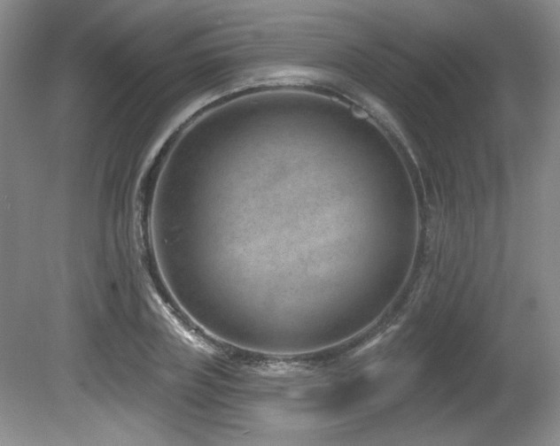 X0000080790835200612151452