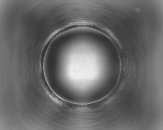 X0000080790837200612151453