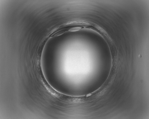 X0000080790841200612151453