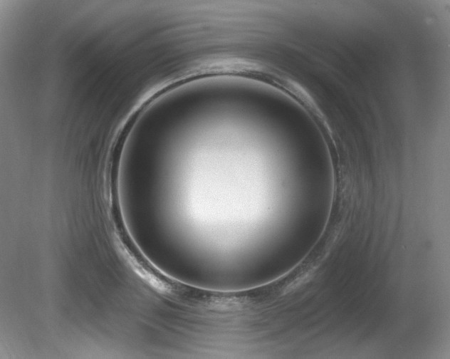 X0000080790843200612151453