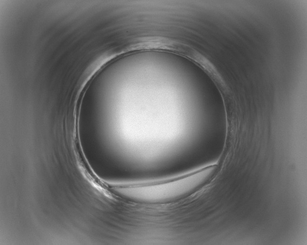 X0000080790844200612151453