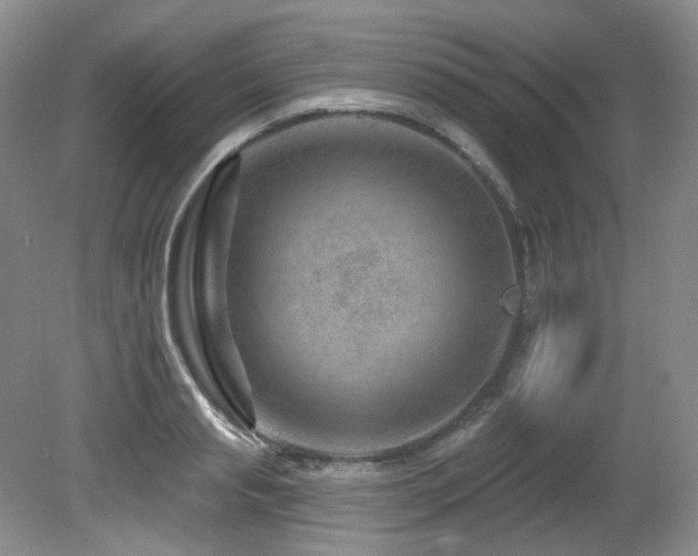 X0000080790845200612151453