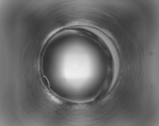 X0000080790846200612151453