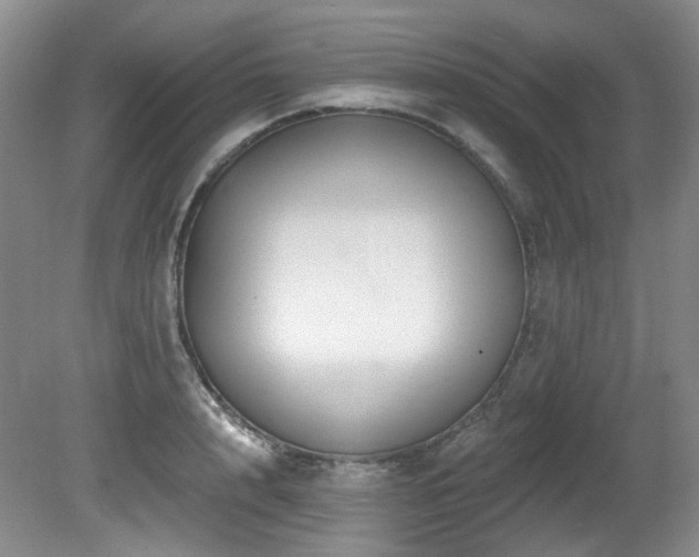 X0000080790848200612151453