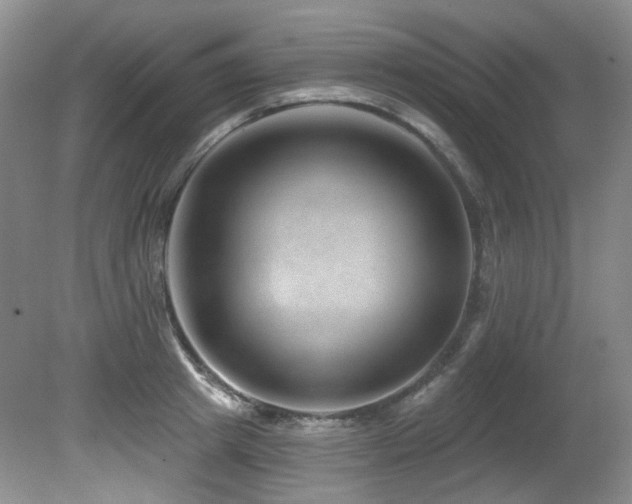 X0000080790849200612151453
