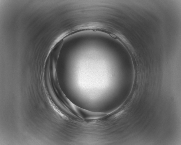 X0000080790850200612151453