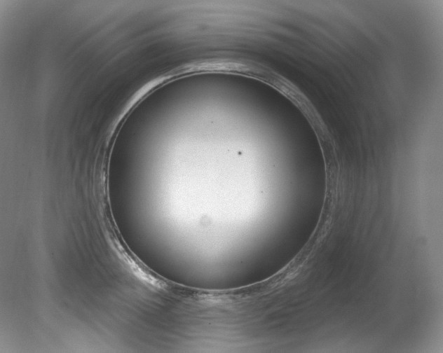 X0000080790852200612151453