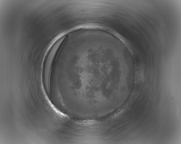 X0000080790853200612151453