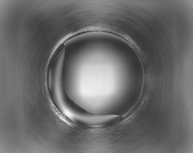 X0000080790854200612151453