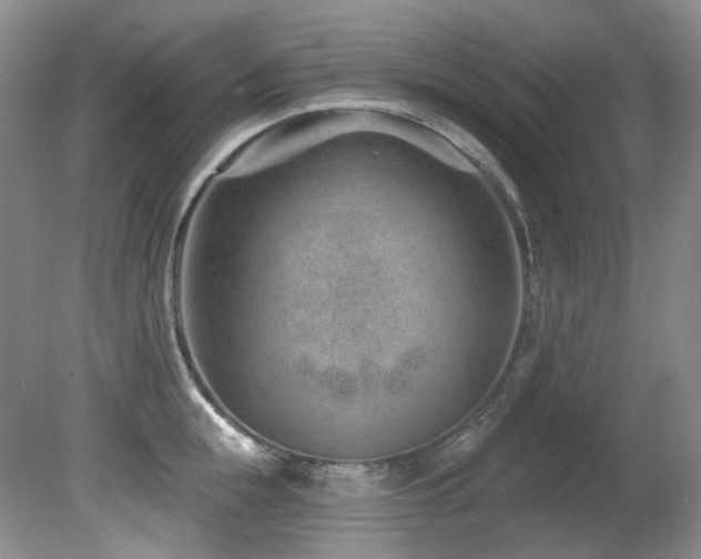 X0000080790855200612151453