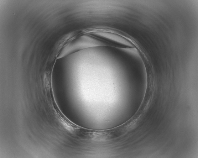 X0000080790857200612151453
