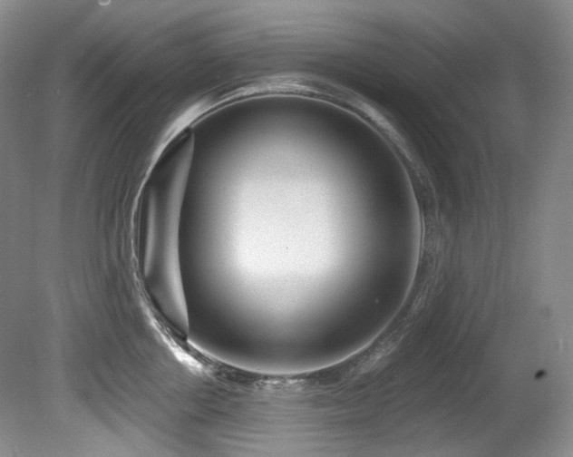 X0000080790858200612151453