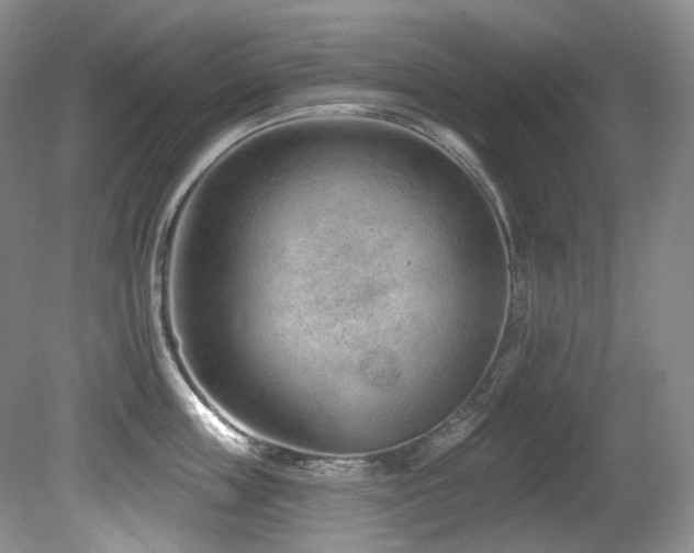 X0000080790859200612151453