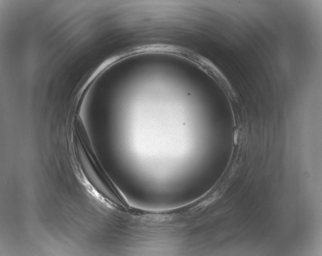X0000080790860200612151453
