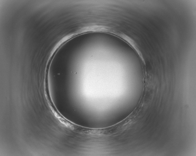 X0000080790861200612151453