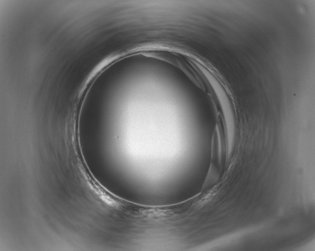 X0000080790862200612151453