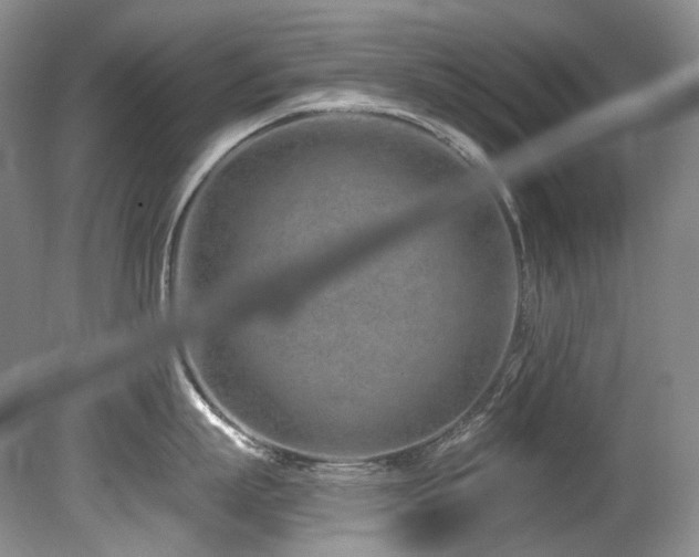 X0000080790863200612151453