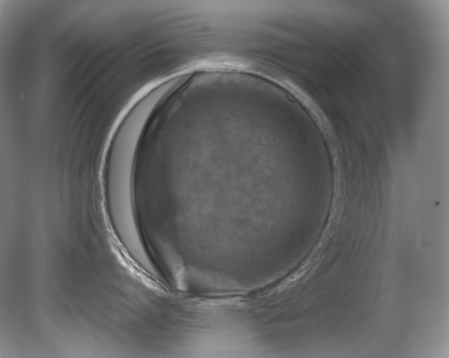 X0000080790864200612151453