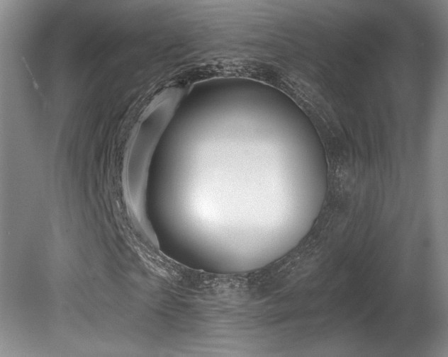X0000080790865200612151452