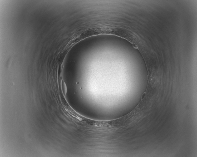 X0000080790866200612151452
