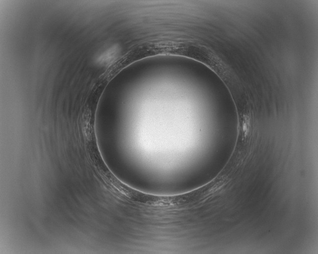 X0000080790867200612151452