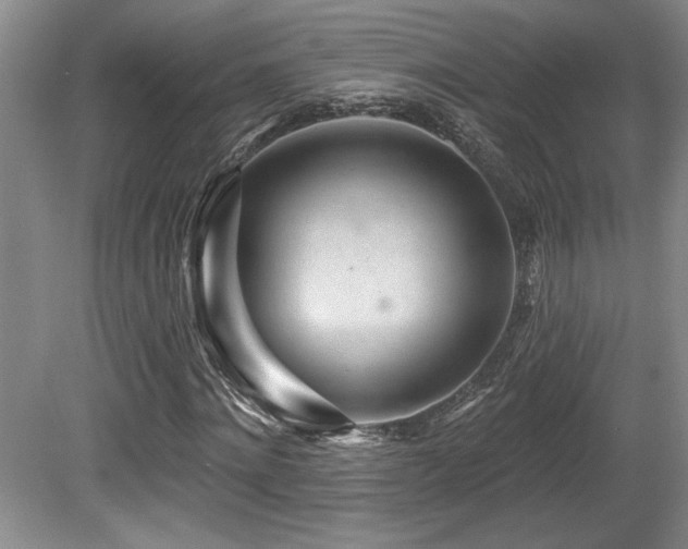 X0000080790868200612151452