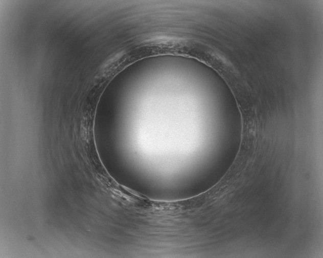 X0000080790869200612151452