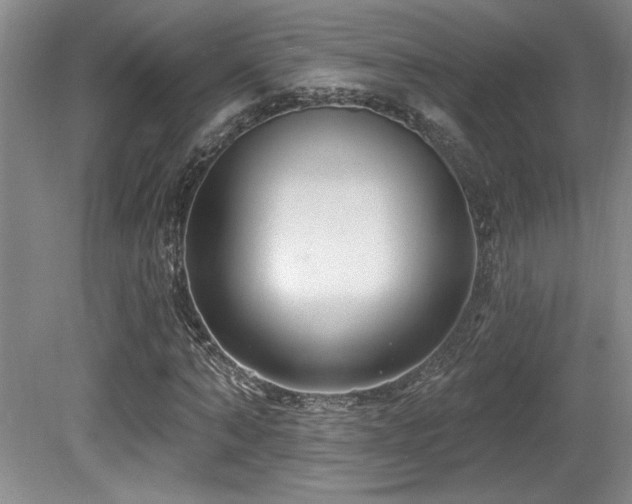 X0000080790870200612151452