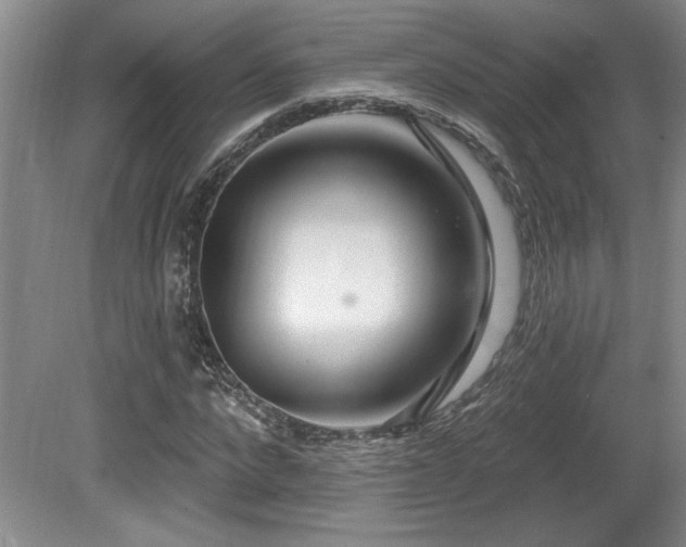 X0000080790872200612151452