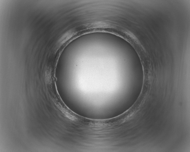 X0000080790873200612151452