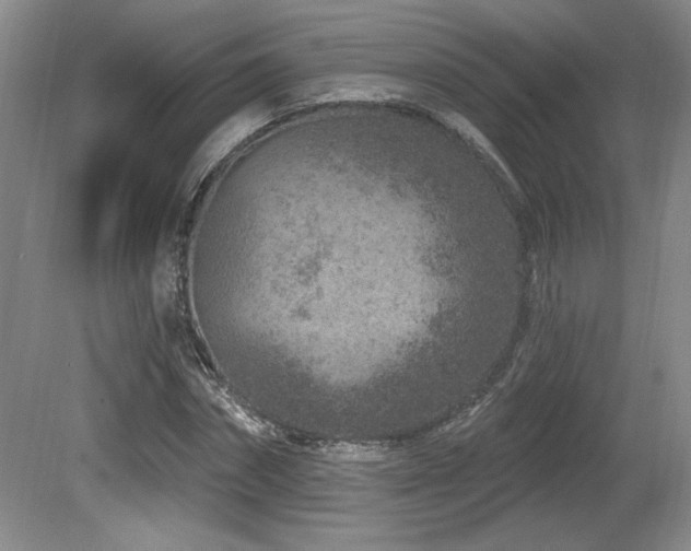 X0000080790874200612151452