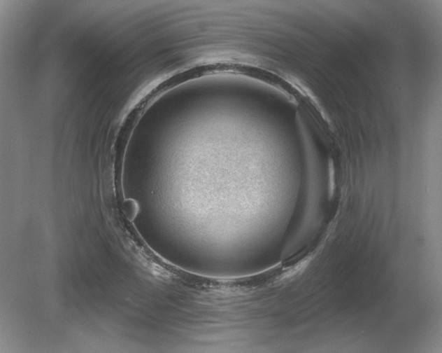 X0000080790877200612151452