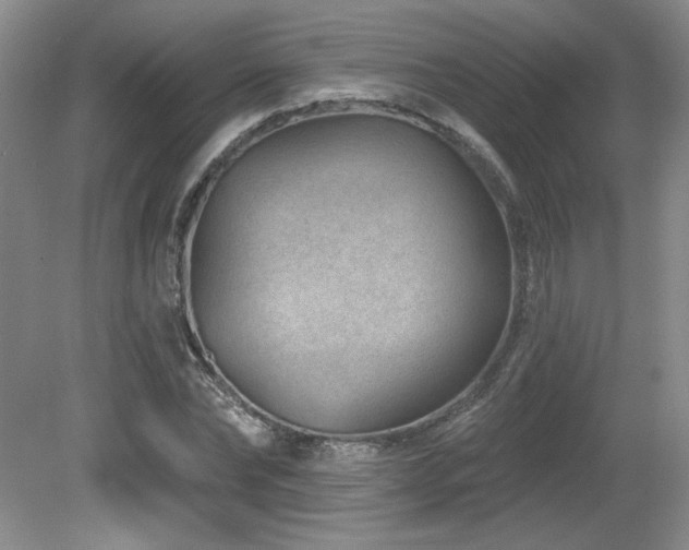 X0000080790878200612151452