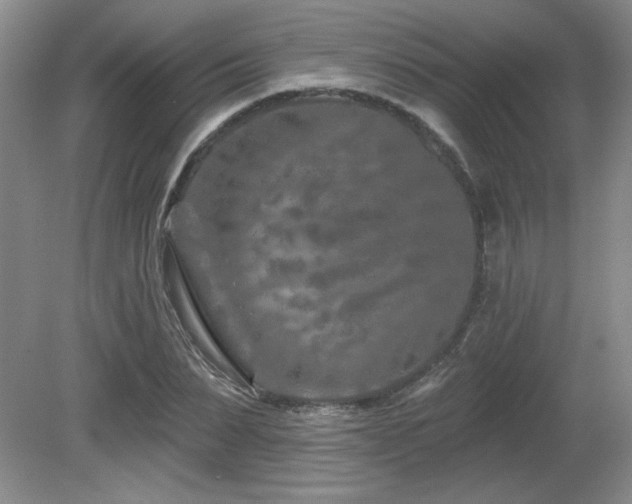 X0000080790879200612151452