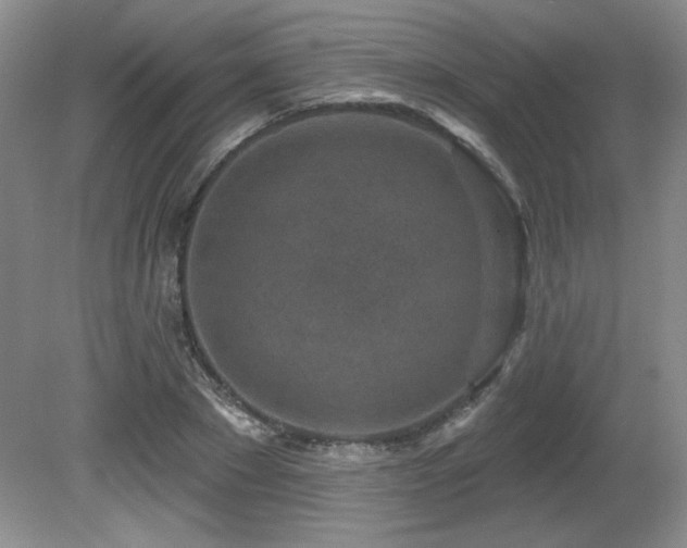 X0000080790881200612151452