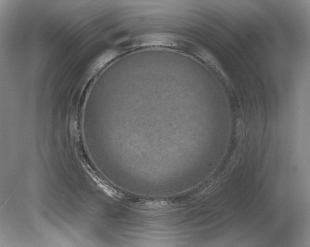X0000080790882200612151452