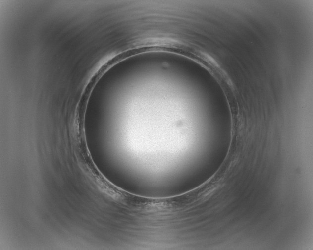 X0000080790883200612151452