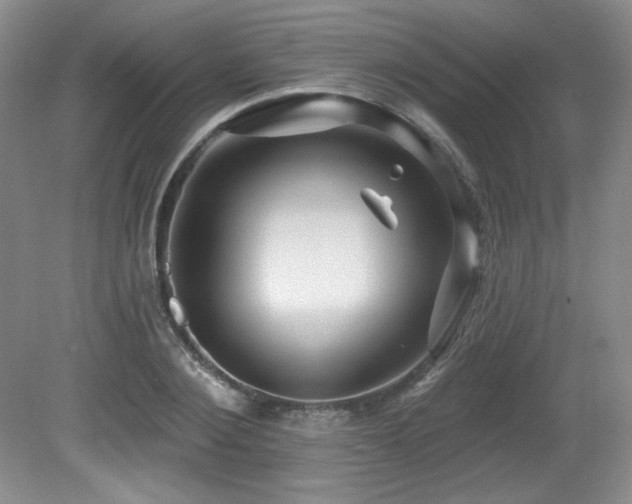 X0000080790884200612151452