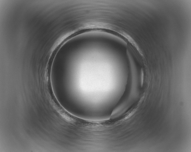X0000080790885200612151452
